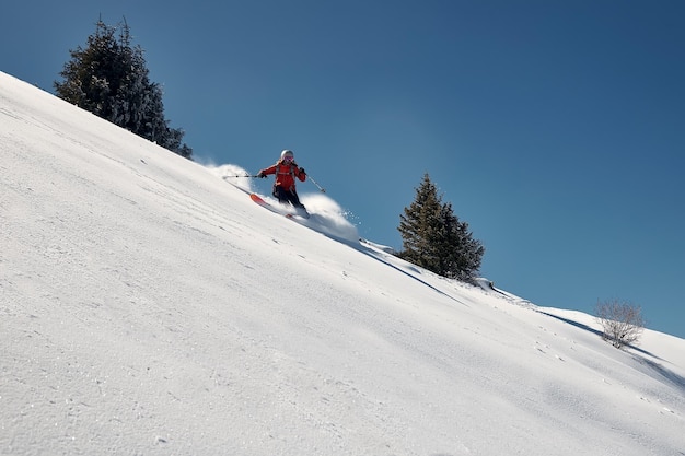 A freeride skier makes a turn in powder snow on a sunny day