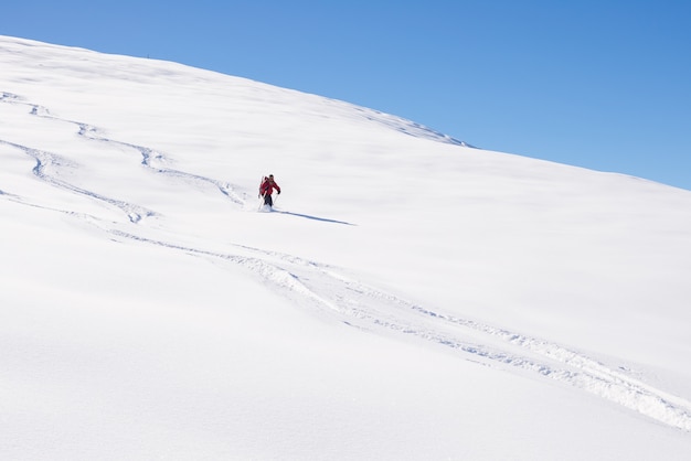 Freeriden op verse poedersneeuw