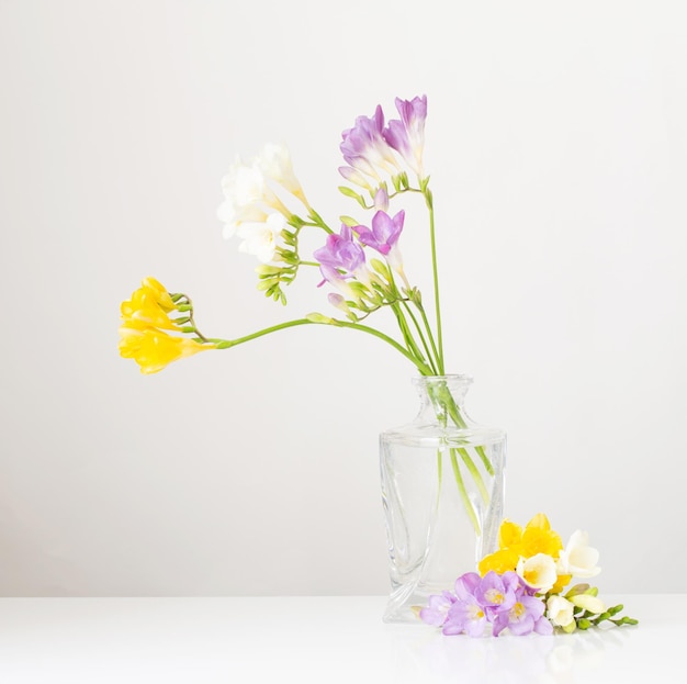 Freesia in glass vase on white background