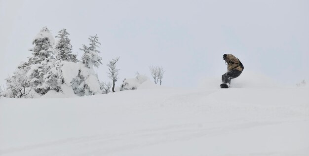 freestyle snowboarder