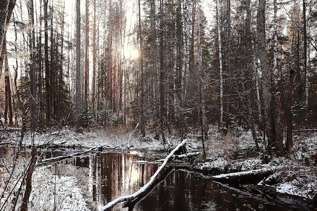 Fiume ghiacciato novembre dicembre, paesaggio stagionale in natura inverno