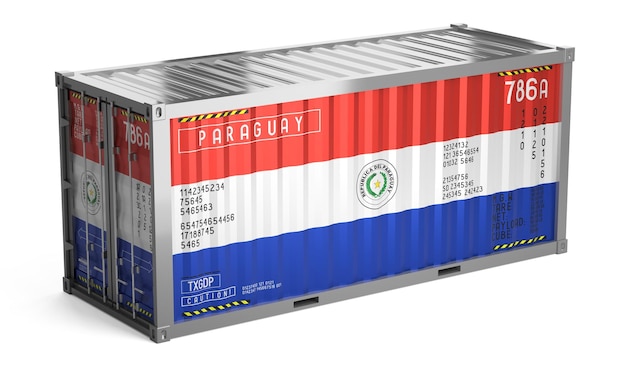 Freight shipping container with national flag of Paraguay on white background 3D illustration