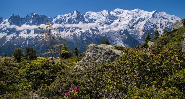 French alps landscape