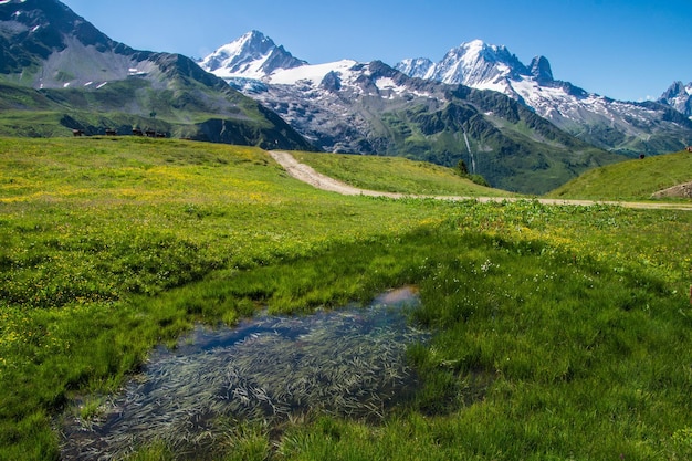 French Alps landscape