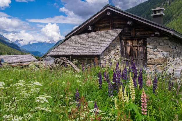 French alps landscape