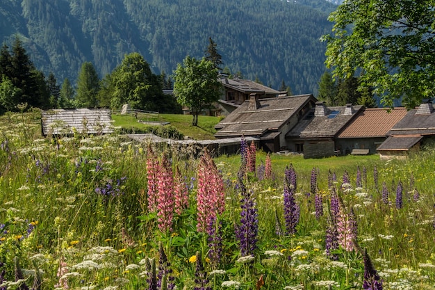 French alps landscape