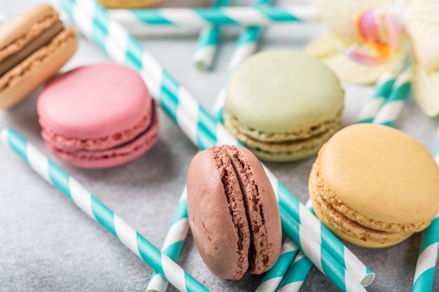 French assorted macarons