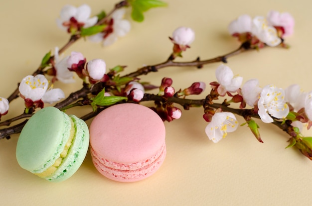 Французские разноцветные макаруны или миндальное печенье с цветущими цветами абрикоса на пастельно-бежевом