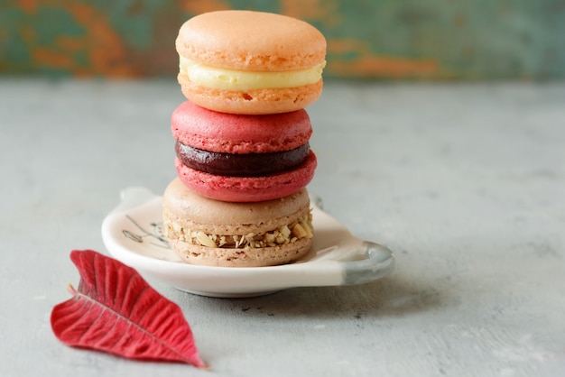 French colorful macarons and red leaf