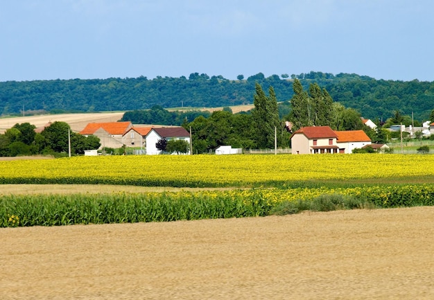 写真 フランスの田舎