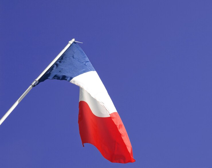 Фотографии флага Франции виши. Французские флажки в руках. Премиум флажок.