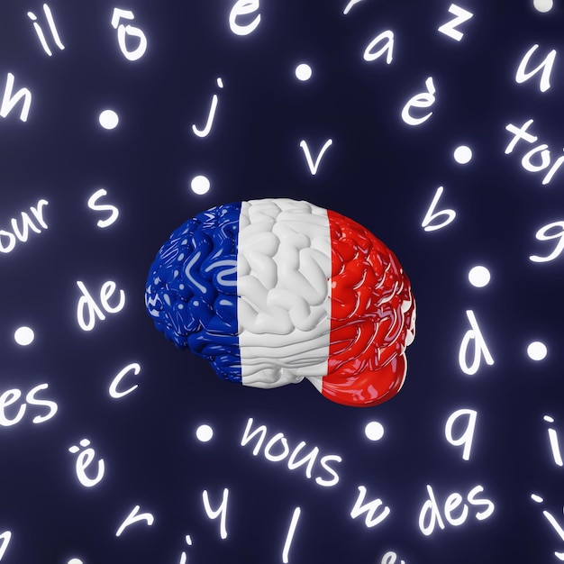 French Learning Foreign language fluency improvement Human brain glowing letters articles words 3d render Studying Native speakers Memory Online course education Expressions Idioms Listening Reading