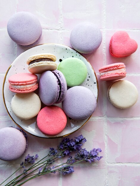 French macarons with different  flavors and fresh lavender flowers