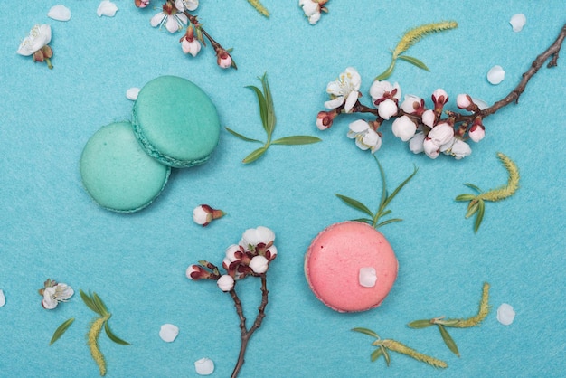 French macaroon dessert and flowers on a turquoise background