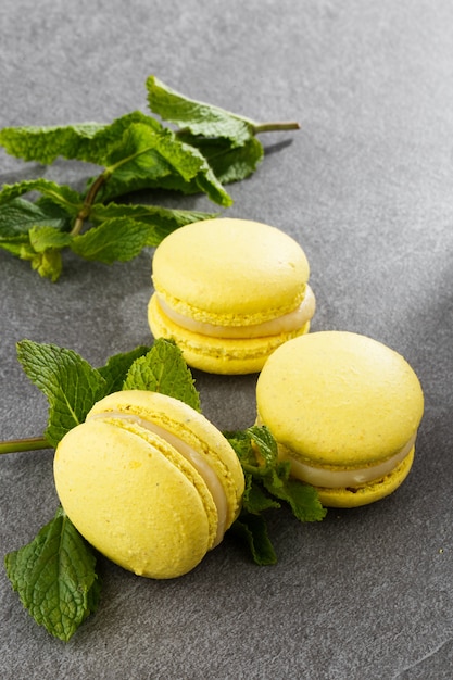 French macaroons isolated.