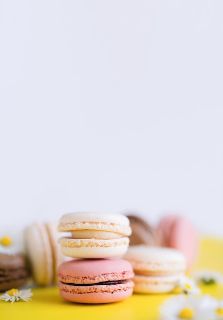 French macaroons with blurry daisy on white background Colourful sweet dessert or Snack for coffee or tea break Vertical banner for Spring or Summer holiday promotions