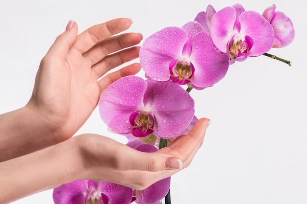 Manicure francese e fiore di orchidea
