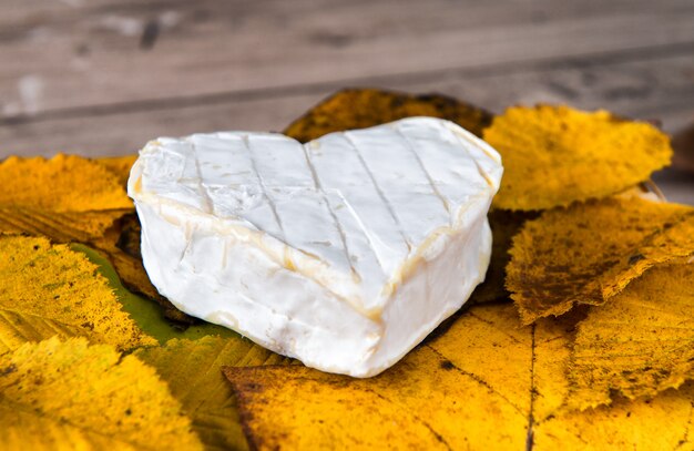 French Neufchatel cheese shaped heart on autumn leaves