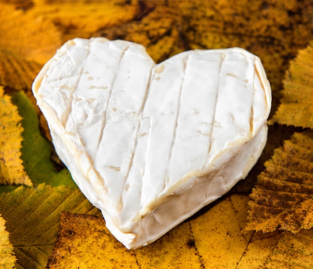 French Neufchatel cheese shaped heart on autumn leaves