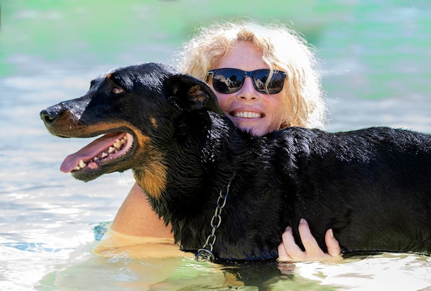 French shepherd and swimming pool