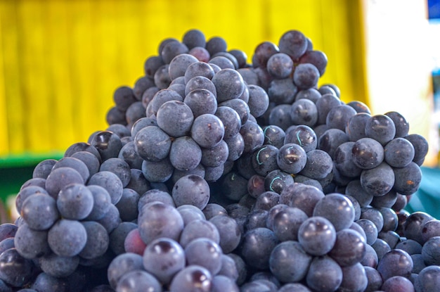 Foto frescas en jugosas uvas