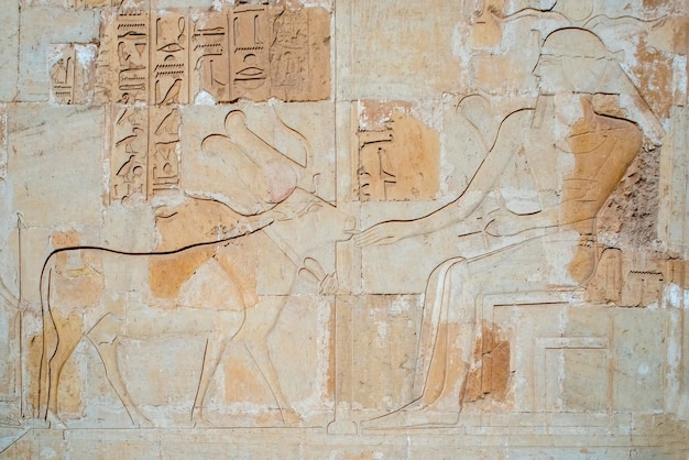 Fresco's bij de dodentempel van Hatshepsut in Deir elBahri