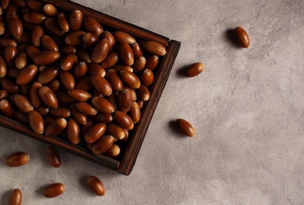 Fresh acorns in a wooden box on a gray background