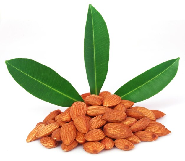 fresh almonds over white background