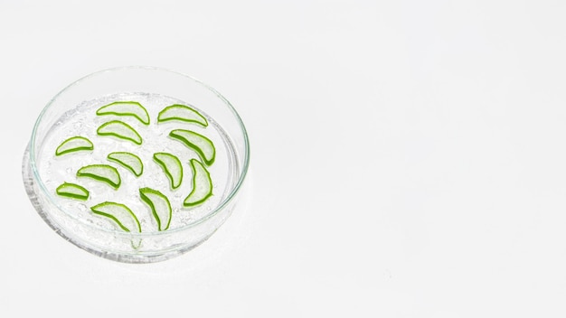 Photo fresh aloe leaf and sliced aloe slices in a petri dish on a white background