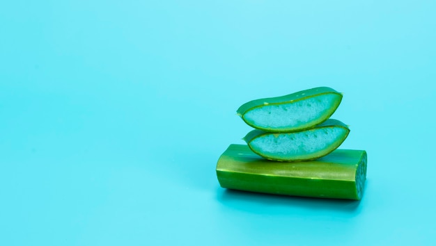 Fresh aloe leaves isolated on blue background