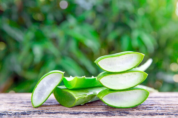 Le foglie e le fette fresche dell'aloe vera sono isolate con fondo bianco.