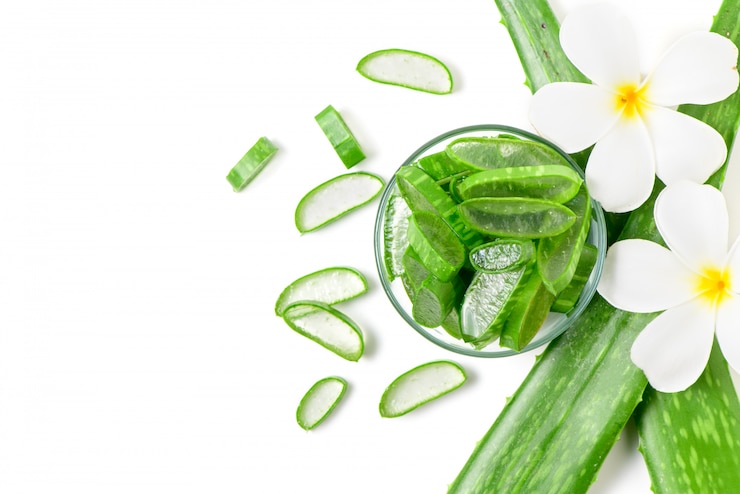 Photo fresh aloe vera slices with white flowers