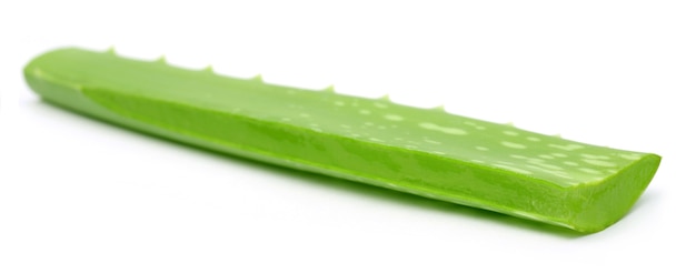 Aloe vera fresca su sfondo bianco