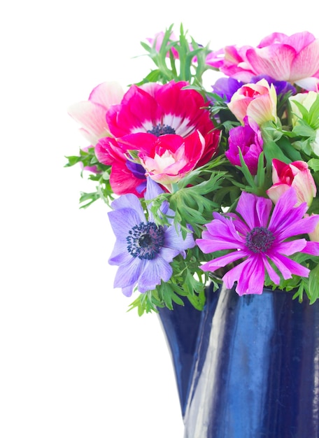 Fresh anemone flowers close up isolated on white background