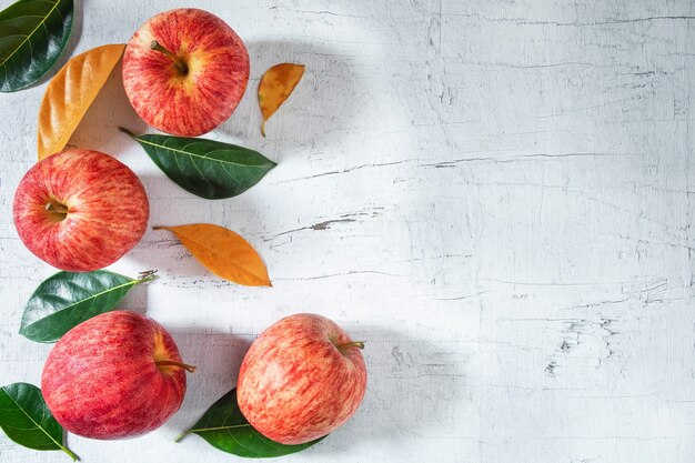 Fresh apple fruit 