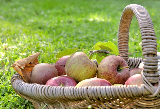 Fresh apples in a basket