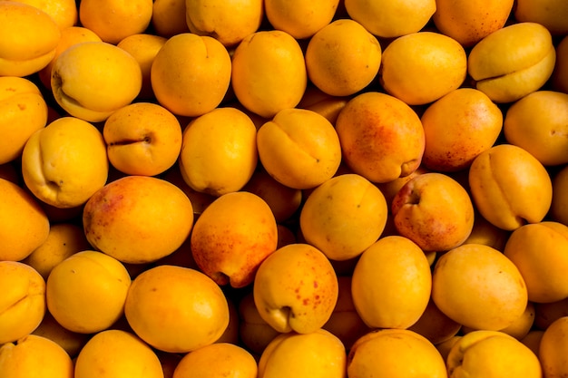 Fresh apricot yellow abstract fruit