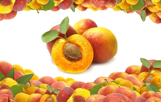 Fresh apricot