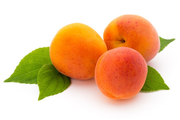 Fresh apricots with leaf close-up isolated on a white background.