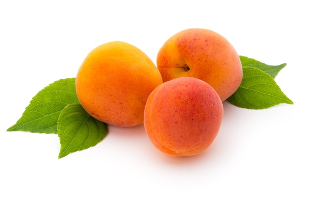 Fresh apricots with leaf close-up isolated on a white surface.