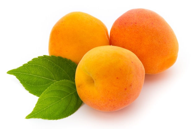 Fresh apricots with leaf close-up isolated on a white.