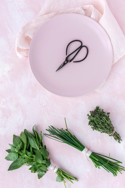 Fresh aromatic herbs from above on pink background