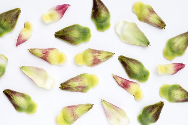 Fresh artichoke petals on white background