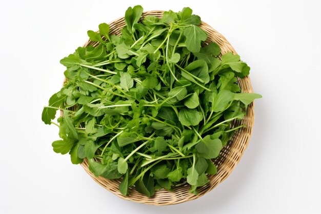 Foto un cesto di arugula fresca isolato su uno sfondo bianco