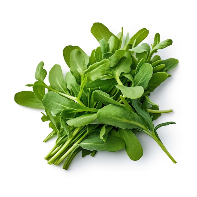 Fresh arugula isolated on a white background