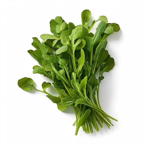 Photo fresh arugula isolated on a white background