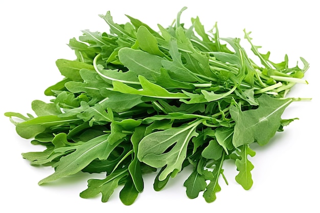 Fresh Arugula Leaf Pile Isolated on White Background Natures Delightful Macro Shot of Green