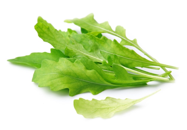 Fresh arugula leaves closeup