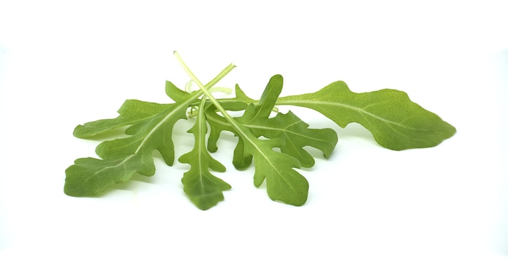 Photo fresh arugula leaves isolated on white background in closeup