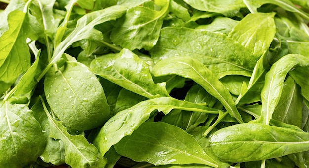 Fresh arugula leaves texture top view